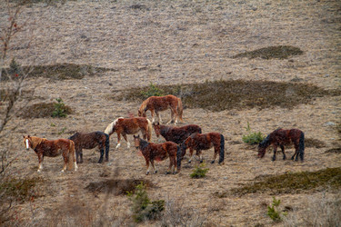 Similar image 22127828