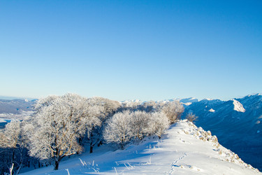 Similar image 22128038