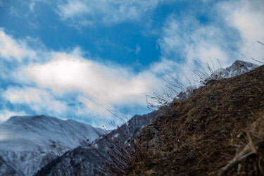 Similar image 22128042