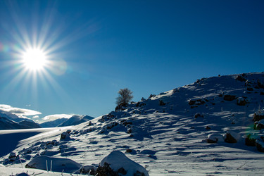 Similar image 22128043