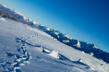 Similar image 22128044