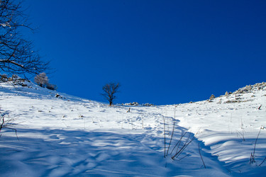 Similar image 22128045