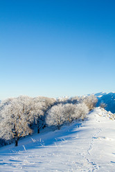 Similar image 22128048