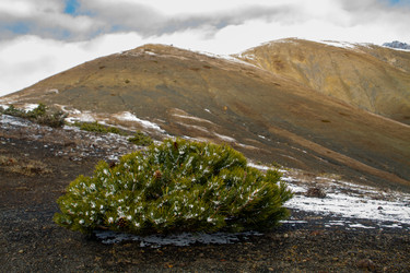 Similar image 22128190