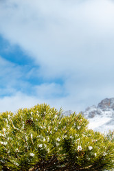 Similar image 22126311