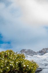 Similar image 22126313