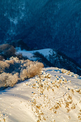 Similar image 22126314