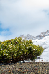 Similar image 22126315