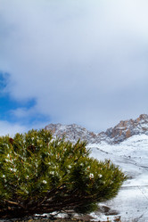 Similar image 22126317