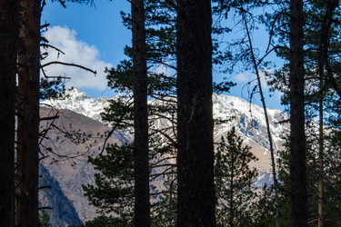 Similar image 22128086