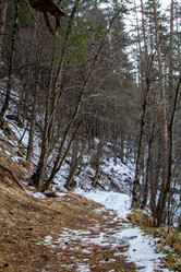 Similar image 22128092