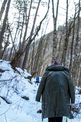 Similar image 22128095