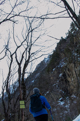 Similar image 22128097