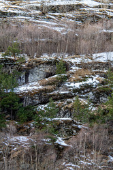 Similar image 22128099