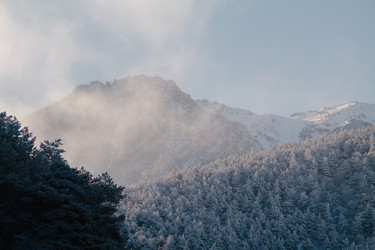 Similar image 22128138