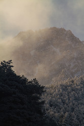 Similar image 22128149