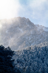 Similar image 22127832