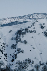 Similar image 22128156