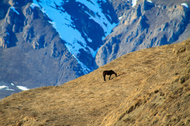 Similar image 22128159