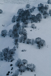 Similar image 22128160