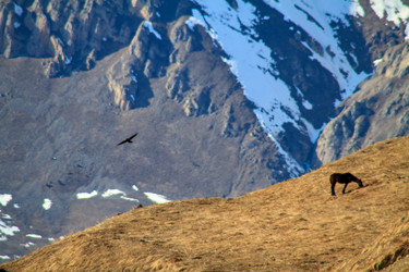 Similar image 22128161