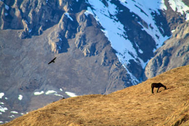 Similar image 22128162