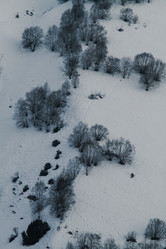 Similar image 22128163