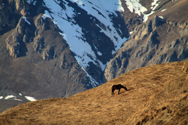 Similar image 22128164