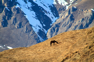 Similar image 22128166