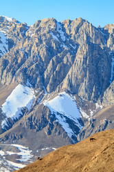 Similar image 22128169