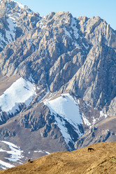 Similar image 22128171