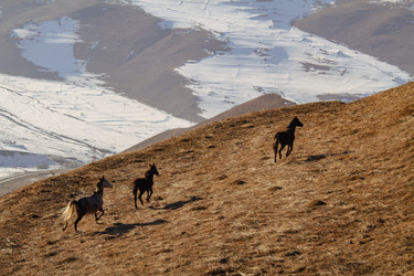 Similar image 22128176