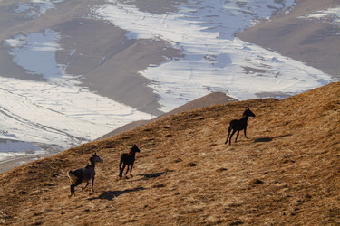 Similar image 22128177