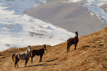 Similar image 22128178