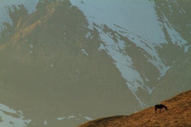 Similar image 22127872