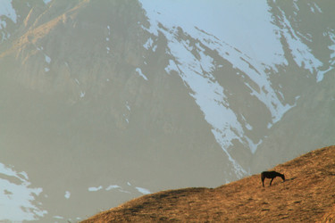 Similar image 22127873