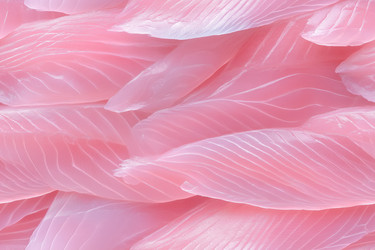 Similar image 22094004