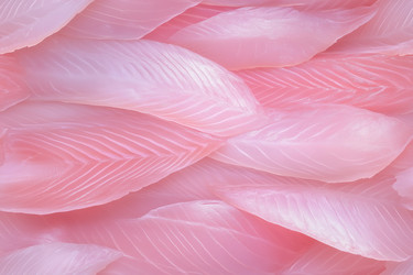 Similar image 22094019