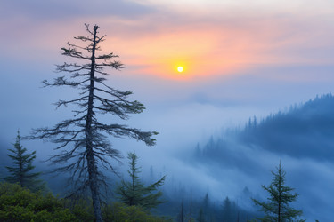 Similar image 22094207