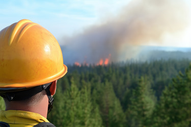 Similar image 22094221