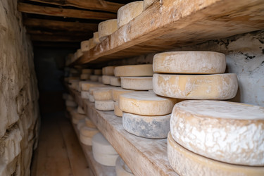 Similar image 22094029