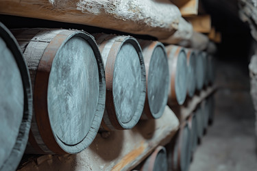 Similar image 22094033