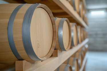 Similar image 22094046