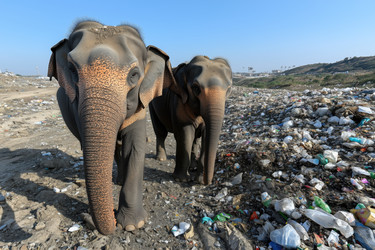 Similar image 22094051