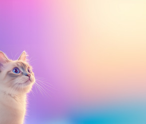 Similar image 22094236