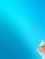 Similar image 22094239