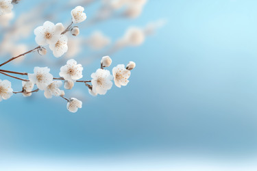 Similar image 22094101