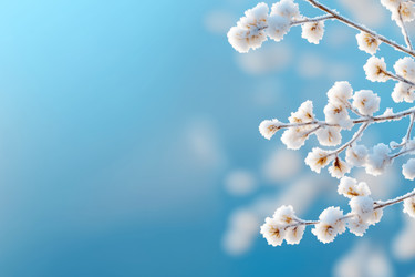 Similar image 22094110