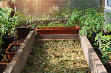 Similar image 22095647