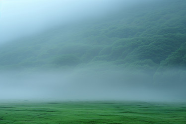 Similar image 22094166